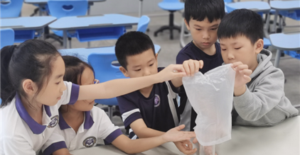 Newsletter PYP Unit of In...