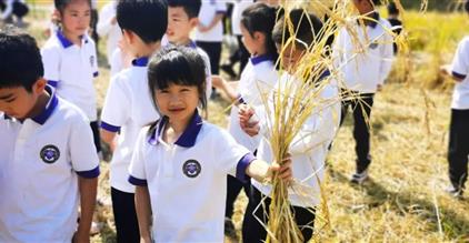 知从行中来，探究在纸外｜记小学部第一个超学科单元外...