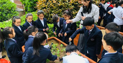 康礼·时刻｜种植实践、监考体验、羽林争霸……今天你...