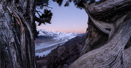 又是冠军！跨越大陆的和谐之美，康礼学子用镜头给出答...